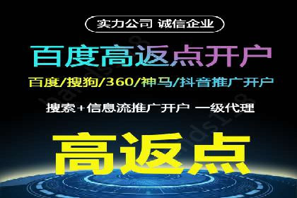 实战技巧：竞价推广案例解析与优化策略